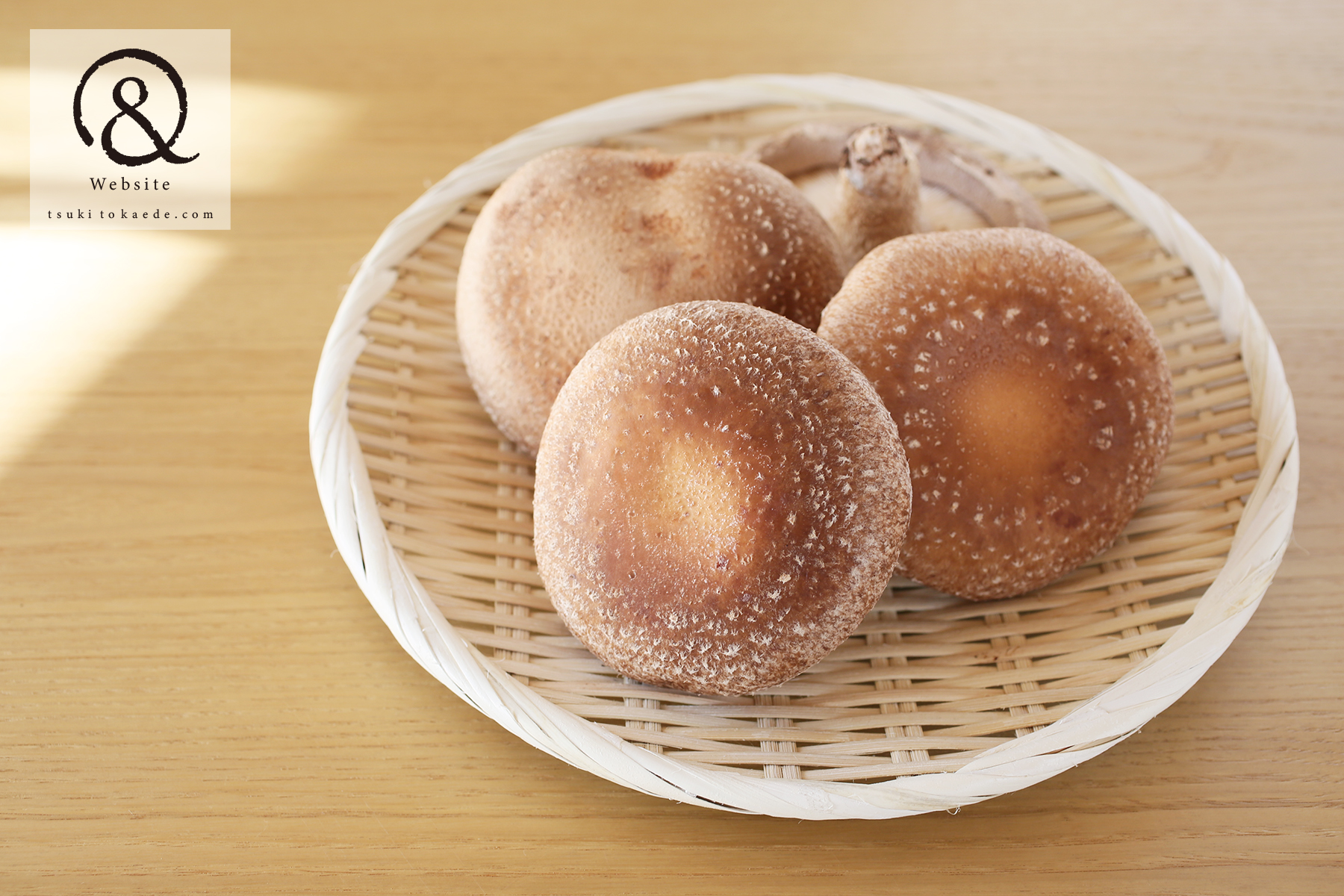 大きなしいたけ